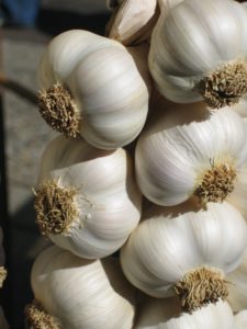 Supporting Image for Article Page Cloves of Garlic - Myth or Fact