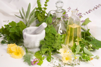 Supporting Image for Article Page Herbal Therapies