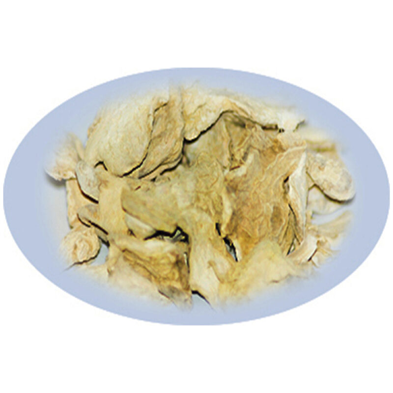 Listing Image for Bulk Chinese Herbs Ginger