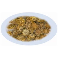 Listing Image for Bulk Chinese Herbs Inula Flower