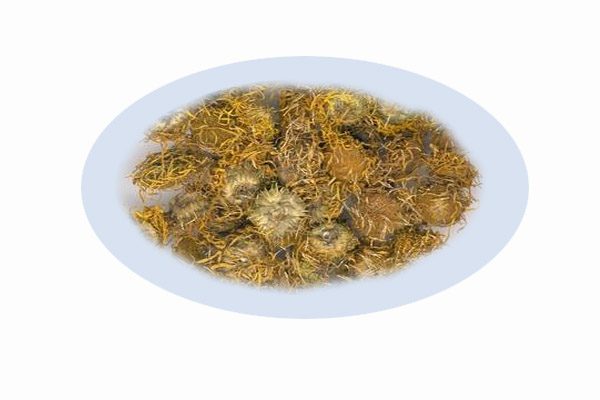 Listing Image for Bulk Chinese Herbs Inula Flower