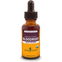 Herb Pharm Bloodroot Tincture 1oz Image for Product Listing