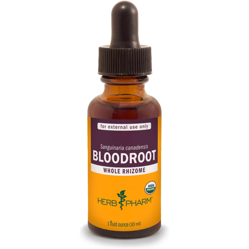 Herb Pharm Bloodroot Tincture 1oz Image for Product Listing