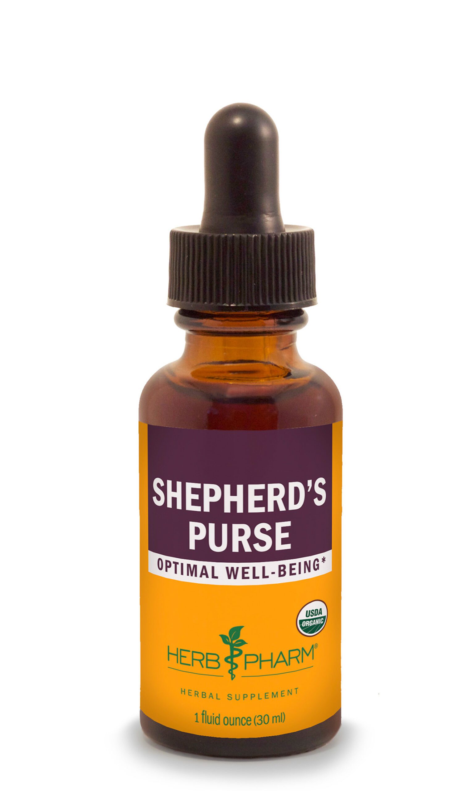 Shepherd's Purse (Capsella bursa-pastoris) – Wise Woman Herbals