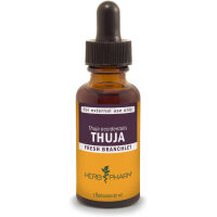 Product Listing Image for Herb Pharm Thuja Tincture 1oz