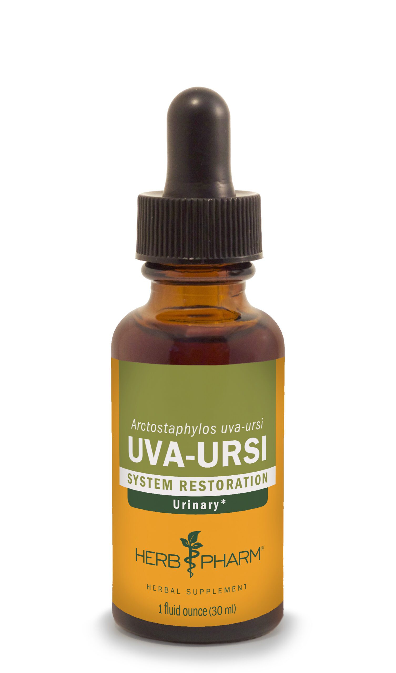 Product Listing Image for Uva-Ursi Tincture 1oz