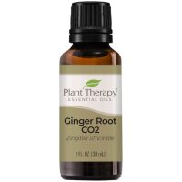 Product Listing Image for Plant Therapy Ginger Root CO2 Essential Oil 30ml