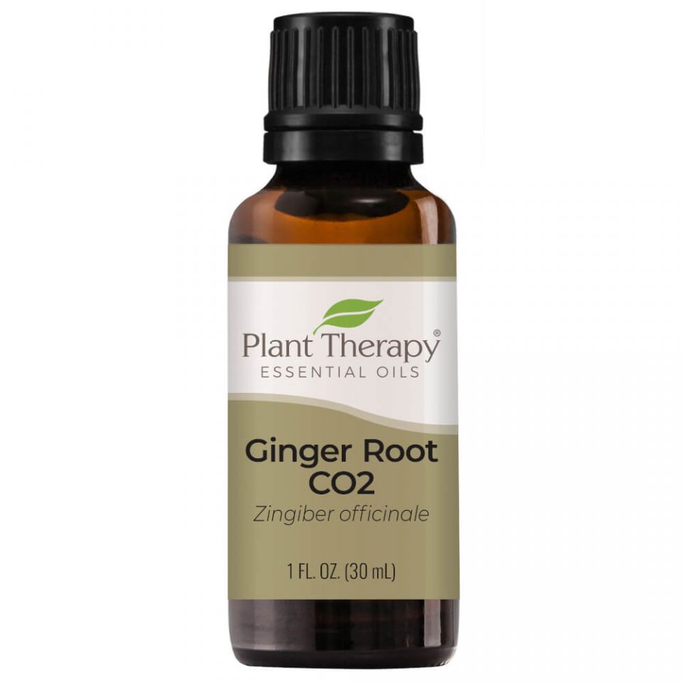 Product Listing Image for Plant Therapy Ginger Root CO2 Essential Oil 30ml