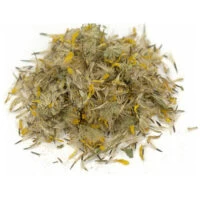 Listing Image for Bulk Western Herbs Arnica