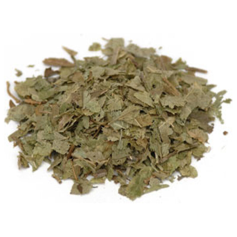 Listing Image for Bulk Western Herbs Bilberry leaf