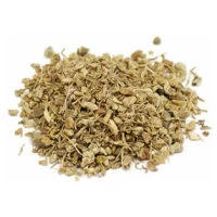 Listing Image for Bulk Western Herbs Blue Cohosh