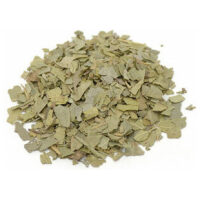 Listing Image for Bulk Western Herbs Boldo Leaf