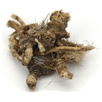 Listing Image for Bulk Western Herbs Osha Root