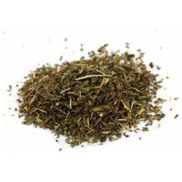 Listing Image for Bulk Western Herbs Pennyroyal herb