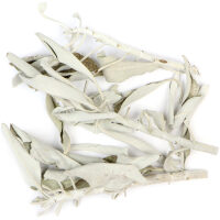 Listing Image for Bulk Western Herbs White Sage