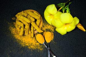 Ayurvedic Herbs Antioxidant