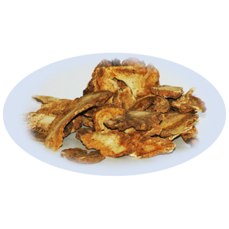 Listing Image for Bulk Chinese Herbs Angelica Du Huo