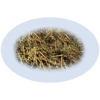 Listing Image for Bulk Chinese Herbs Artemisia