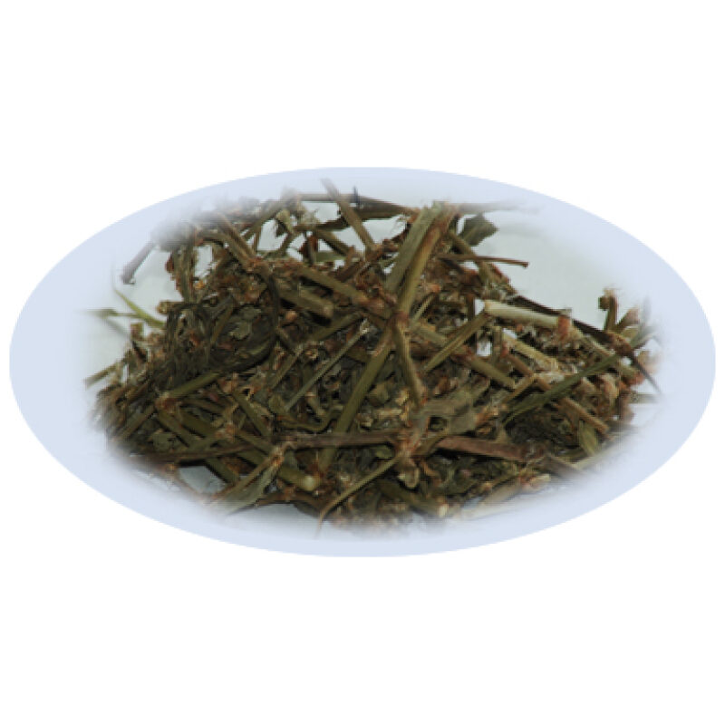 Listing Image for Bulk Chinese Herbs Avicularis