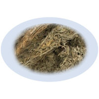 Listing Image for Bulk Chinese Herbs Capillaris