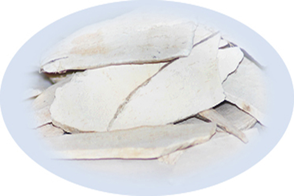 Listing Image for Bulk Chinese Herbs Chinese Yam