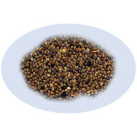 Listing Image for Bulk Chinese Herbs Cuscuta