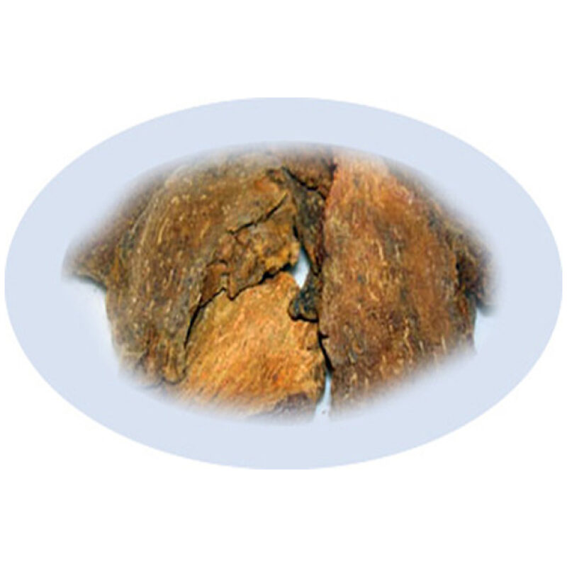 Listing Image for Bulk Chinese Herbs Cynomorium