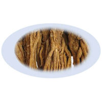 Listing Image for Bulk Chinese Herbs Dong Quai