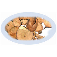 Listing Image for Bulk Chinese Herbs Lindera