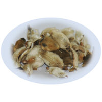 Listing Image for Bulk Chinese Herbs Magnolia Flower