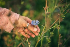 Heading Image for Article How to Become an Herbalist