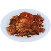 Listing Image for Bulk Chinese Herbs Nutmeg