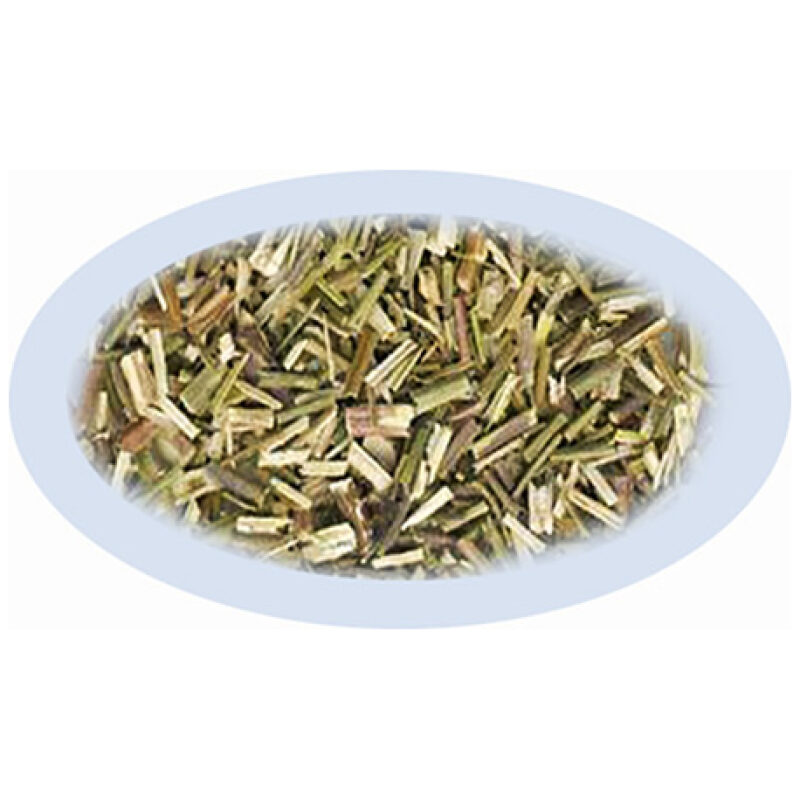 Listing Image for Bulk Chinese Herbs Schizonepeta