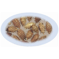 Listing Image for Bulk Chinese Herbs Xanthium Seed
