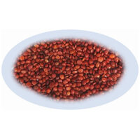 Listing Image for Bulk Chinese Herbs Zizyphus Seed