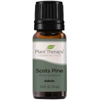 Listing Image Plant Therapy Scots Pine Essential Oil 10ml