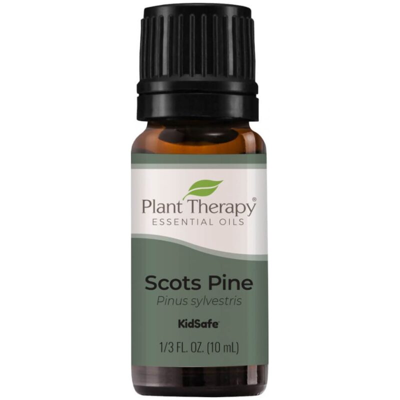 Listing Image Plant Therapy Scots Pine Essential Oil 10ml