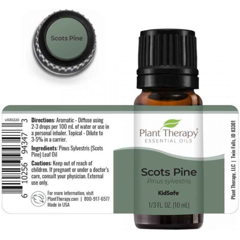 Label Image for Plant Therapy Scots Pine Essential Oils 10ml