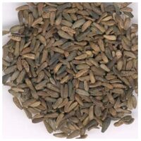 Listing Image for Bulk Chinese Herbs Burdock Seed