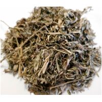 Listing Image for Bulk Chinese Herbs Mugwort Artemisia (Ai Ye)