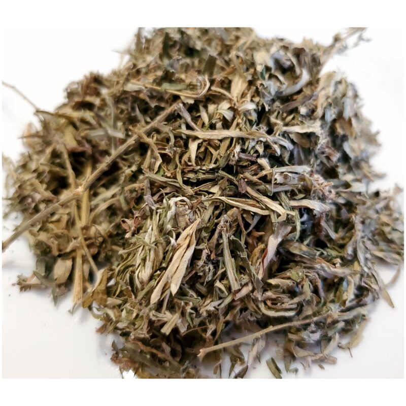 Listing Image for Bulk Chinese Herbs Mugwort Artemisia (Ai Ye)