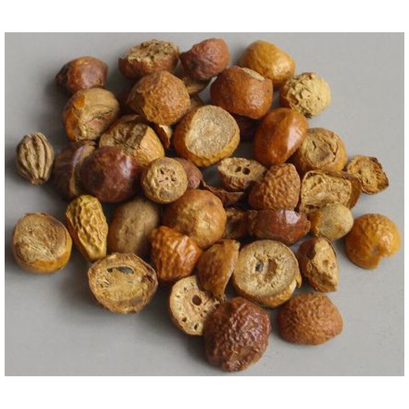 Listing Image for Bulk Chinese Herbs Pagoda Tree Fruit