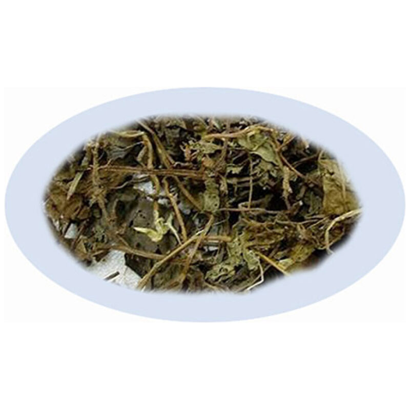 Listing Image for Bulk Chinese Herbs Houttuynia