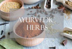 Bulk Ayurvedic herbs