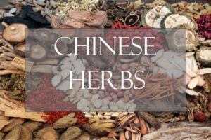 Bulk Chinese Herbs display