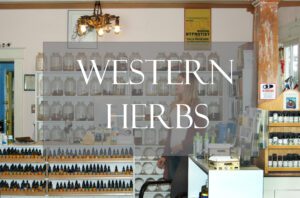 Bulk Western Herbs in Herb Shop
