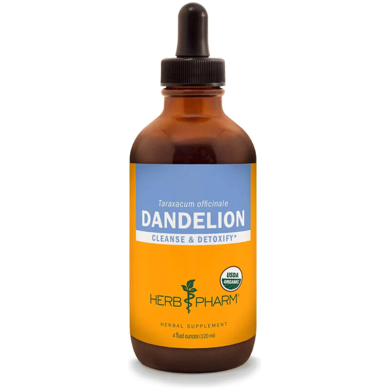 Dandelion-tincture