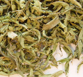 Some whole leaf lemon verbena